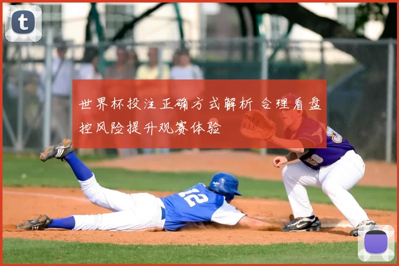 世界杯投注正确方式解析 合理看盘控风险提升观赛体验
