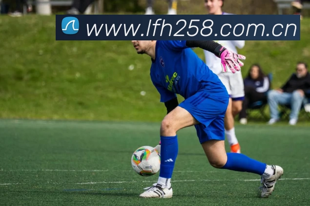 世界杯2024年举办地揭晓 卡塔尔承办赛事引关注